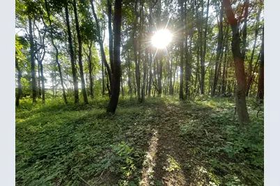 V/L Knight Road, Marcellus, MI 49067 - Photo 2