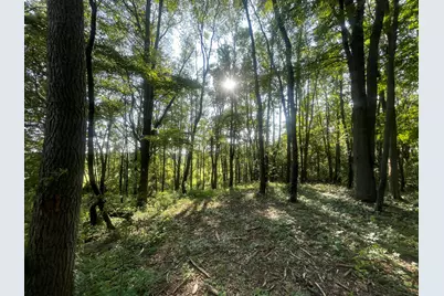 V/L Knight Road, Marcellus, MI 49067 - Photo 4