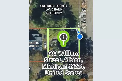 603 Williams Street, Albion, MI 49224 - Photo 4