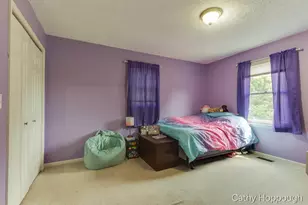 8152 Murphy Rd, Lyons, MI 48851 - Photo 24