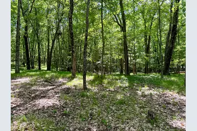 6922 W Twin Lake Drive, Irons, MI 49644 - Photo 42