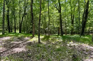 6922 W Twin Lake Dr, Irons, MI 49644 - Photo 42