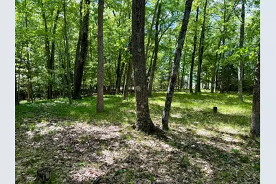 6922 W Twin Lake Drive, Irons, MI 49644 - Photo 44