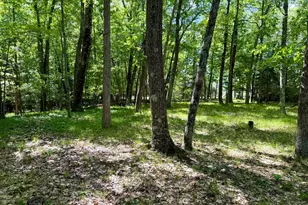 6922 W Twin Lake Dr, Irons, MI 49644 - Photo 44