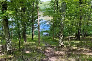 6922 W Twin Lake Dr, Irons, MI 49644 - Photo 6