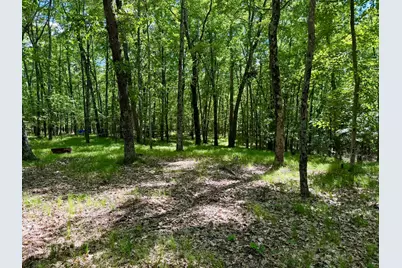 6922 W Twin Lake Drive, Irons, MI 49644 - Photo 42