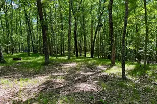 6922 W Twin Lake Dr, Irons, MI 49644 - Photo 42