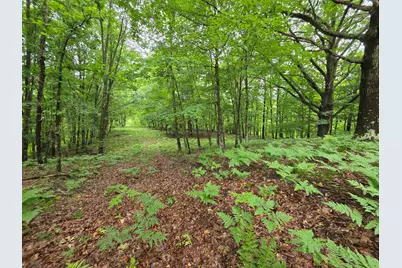 Madison Road, Hesperia, MI 49421 - Photo 8