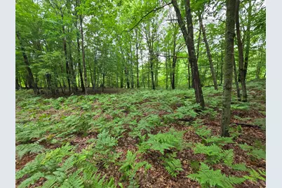 Madison Road, Hesperia, MI 49421 - Photo 14