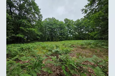 Madison Road, Hesperia, MI 49421 - Photo 20