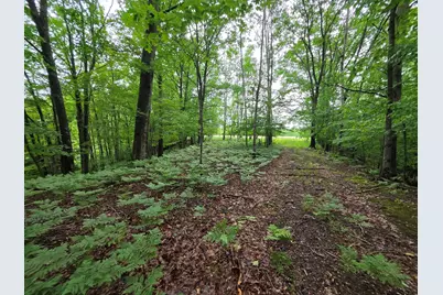 Madison Road, Hesperia, MI 49421 - Photo 22
