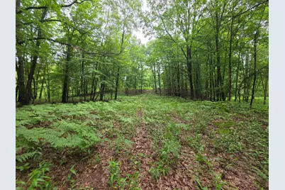 Madison Road, Hesperia, MI 49421 - Photo 18