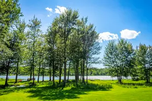 84 Thelen Dr, Gobles, MI 49055 - Photo 38