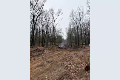 5419 Thorpe Street, Fennville, MI 49408 - Photo 2