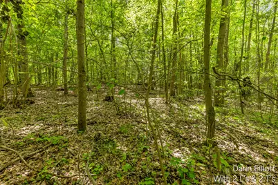V/L Shady Lane, Fenwick City, MI 48834 - Photo 22