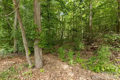 V/L Shady Lane, Fenwick City, MI 48834 - Photo 8
