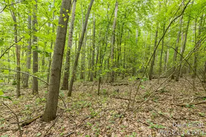V/L Shady Lane, Fenwick City, MI 48834 - Photo 12