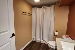 704 Center Dr, Tecumseh, MI 49286 - Photo 30