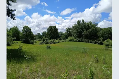 24A E Beyer Road, Fountain, MI 49410 - Photo 2