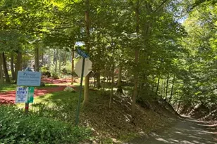1021 Orchard Ave, South Haven, MI 49090 - Photo 24