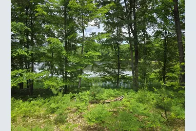 294 W Ingerman Drive, Baldwin, MI 49304 - Photo 14