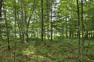 294 W Ingerman Dr, Baldwin, MI 49304 - Photo 4