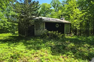 294 W Ingerman Dr, Baldwin, MI 49304 - Photo 1