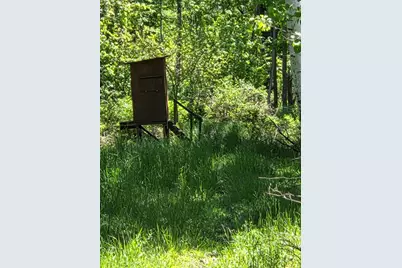 Crockard, Bad Axe, MI 48413 - Photo 26