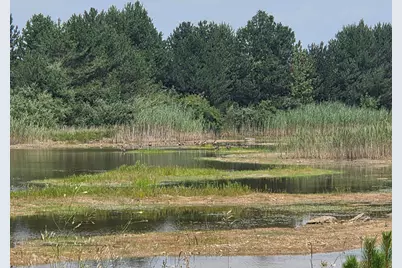 Crockard, Bad Axe, MI 48413 - Photo 10