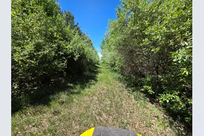 Crockard, Bad Axe, MI 48413 - Photo 8