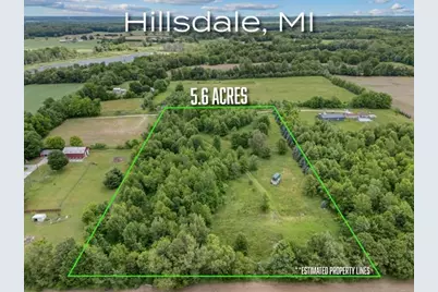 6691 W Hallett Road, Hillsdale, MI 49242 - Photo 2