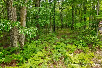 V/L Silver Lake Road, Mears, MI 49436 - Photo 6