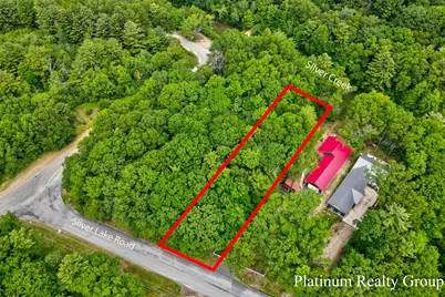 V/L Silver Lake Road, Mears, MI 49436 - Photo 2