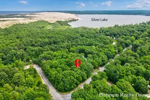 V/L Silver Lake Rd, Mears, MI 49436 - Photo 1