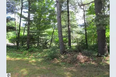 11052 N Hodenpyle Dam Road, Mesick, MI 49668 - Photo 22