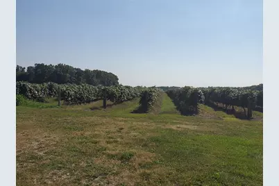 Vl County Road 671, Paw Paw, MI 49079 - Photo 2