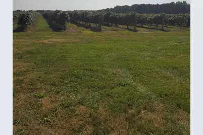 Vla County Road 671, Paw Paw, MI 49079 - Photo 4