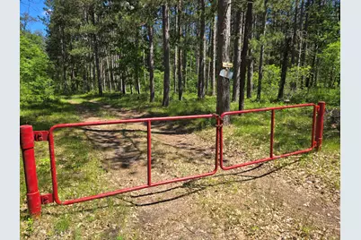 3800 W 4 Mile Road, Irons, MI 49644 - Photo 4