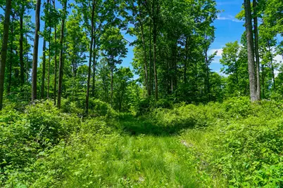 1244 Mayhew Road, Rose City, MI 48654 - Photo 16