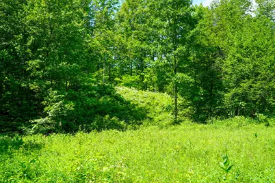 1244 Mayhew Road, Rose City, MI 48654 - Photo 10