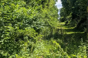 5900 Springbrook Rd, Horton, MI 49246 - Photo 42