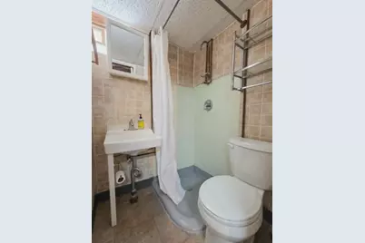 425 West Street, Lansing, MI 48915 - Photo 30