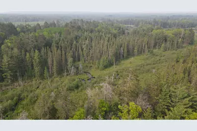Parcel B Cherry Creek Trail, Grayling, MI 49738 - Photo 2
