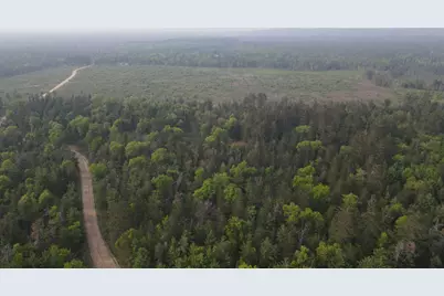 Parcel B Cherry Creek Trail, Grayling, MI 49738 - Photo 6