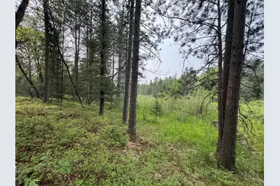 Parcel B Cherry Creek Trail, Grayling, MI 49738 - Photo 18