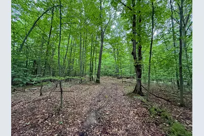 5070 W Sanborn Road, Lake City, MI 49651 - Photo 44