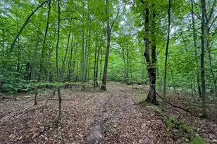 5070 W Sanborn Rd, Lake City, MI 49651 - Photo 44