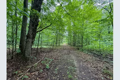 5070 W Sanborn Road, Lake City, MI 49651 - Photo 46