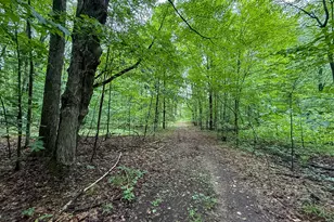 5070 W Sanborn Rd, Lake City, MI 49651 - Photo 46