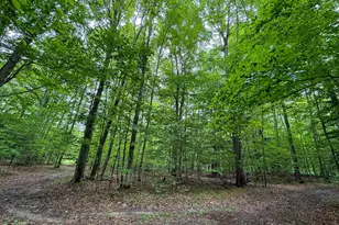 5070 W Sanborn Rd, Lake City, MI 49651 - Photo 48